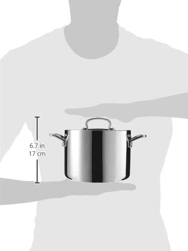 Cuisinart French Classic Tri-Ply Stainless 6-Quart Stockpot with Cover