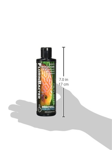 Brightwell Aquatics Florinbacter - Liquid Bioculture for Biological Filtration in Freshwater Planted Aquariums