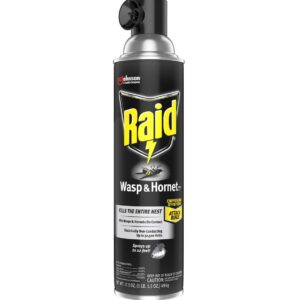 Raid Wasp and Hornet Killer, 17.5 OZ (Pack of 3)