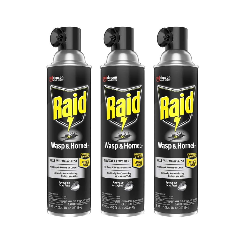 Raid Wasp and Hornet Killer, 17.5 OZ (Pack of 3)