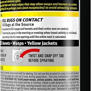 Raid Wasp and Hornet Killer, 17.5 OZ (Pack of 3)