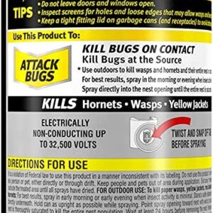 Raid Wasp and Hornet Killer, 17.5 OZ (Pack of 3)