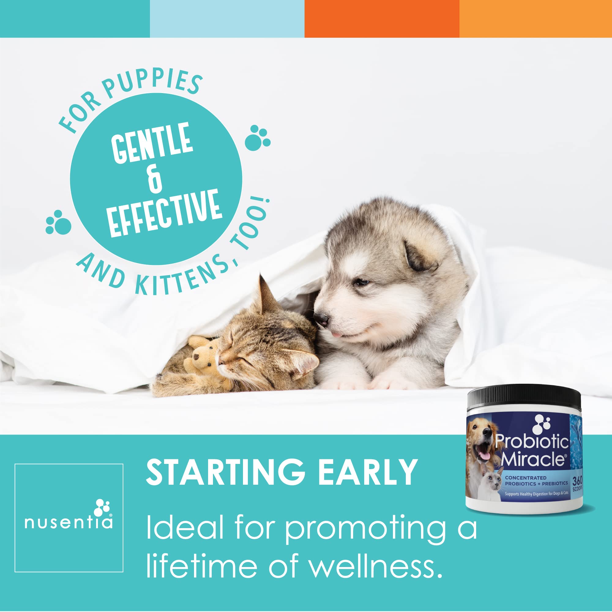 NUSENTIA Probiotic Miracle for Dogs and Cats (3 Bundle) Save $13. Eliminate Diarrhea, Constipation, Loose Stool, Yeast and More. Made in USA. GMP Certified