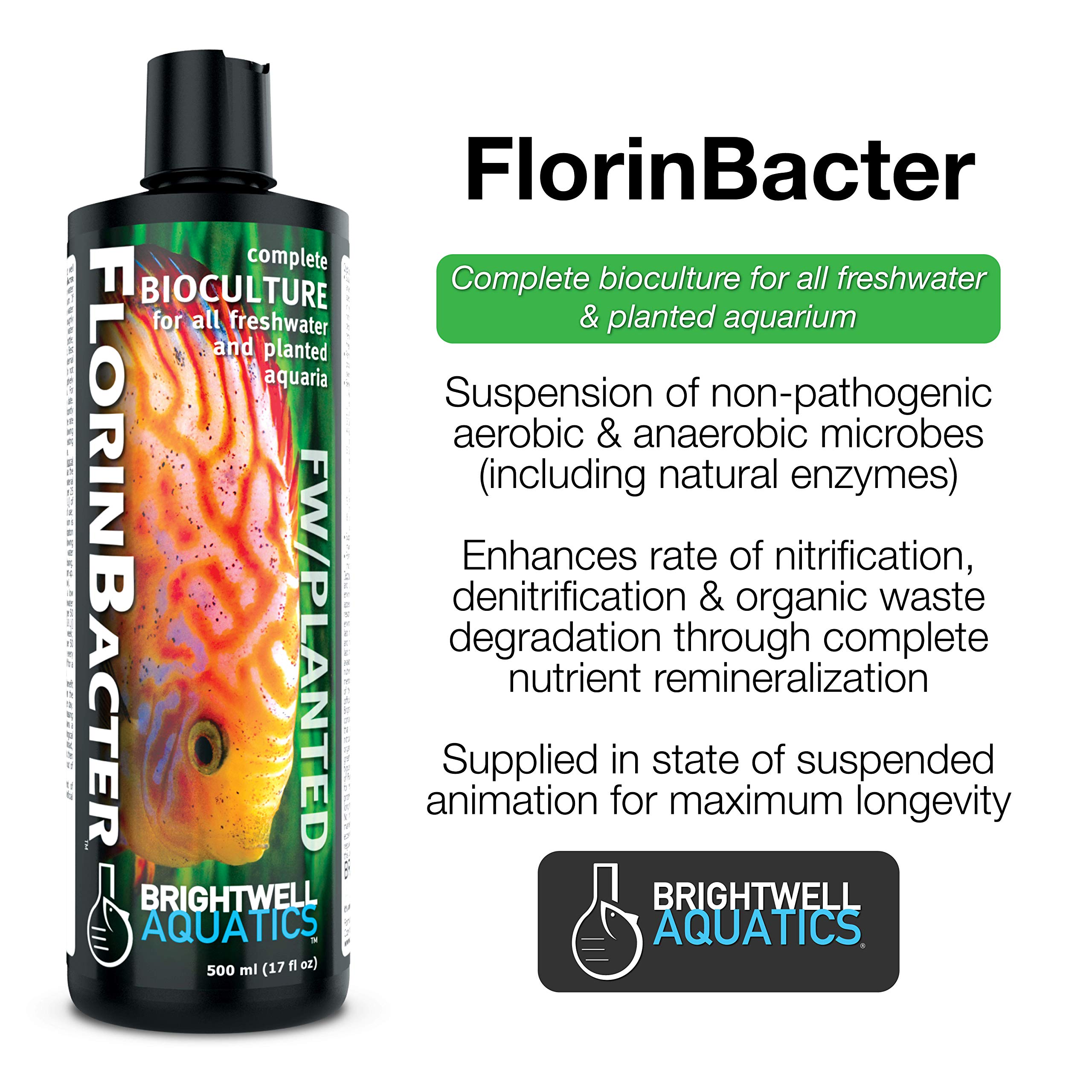 Brightwell Aquatics Florinbacter - Liquid Bioculture for Biological Filtration in Freshwater Planted Aquariums