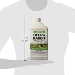 Deer and Rabbit Repellent