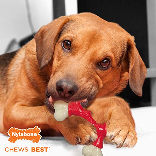 Nylabone Power Chew Double Bone Long Lasting Chew Toy for Dogs X-Small - Up to 15 lbs.