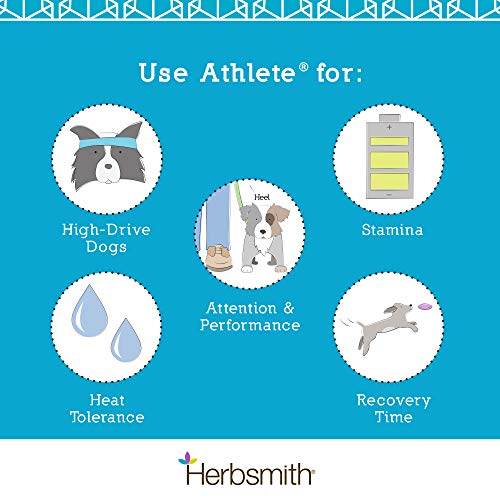 Herbsmith Athlete – Canine Endurance Supplement for Working and Agility Dogs – For the Canine Athlete – 75g Powder