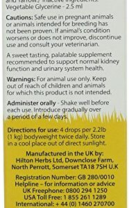 Hilton Herbs Kitty KD Herbal Supplement for Optimum Renal Function in Cats, 1.69 fl oz ( 50 ml ) Bottle