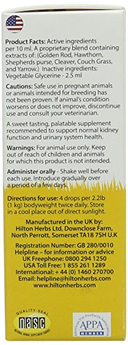 Hilton Herbs Kitty KD Herbal Supplement for Optimum Renal Function in Cats, 1.69 fl oz ( 50 ml ) Bottle