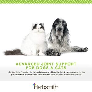 Herbsmith Soothe Joints – Cat + Dog Arthritis Pain Relief –Relief For Senior Pet Aches + Pains – Joint Health for Senior Dogs + Cats – 75g Powder