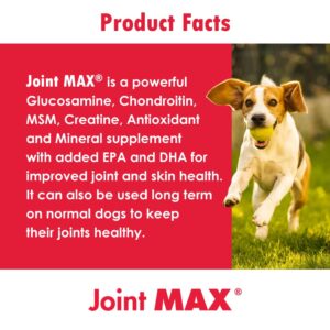 Pet Health Solutions Joint MAX Double Strength (DS) Capsules for Dogs, Glucosamine, Chondroitin, Vitamins and Antioxidants, Hip and Joint Pain Relief and Support Supplement - Made in USA, 120 Tablets