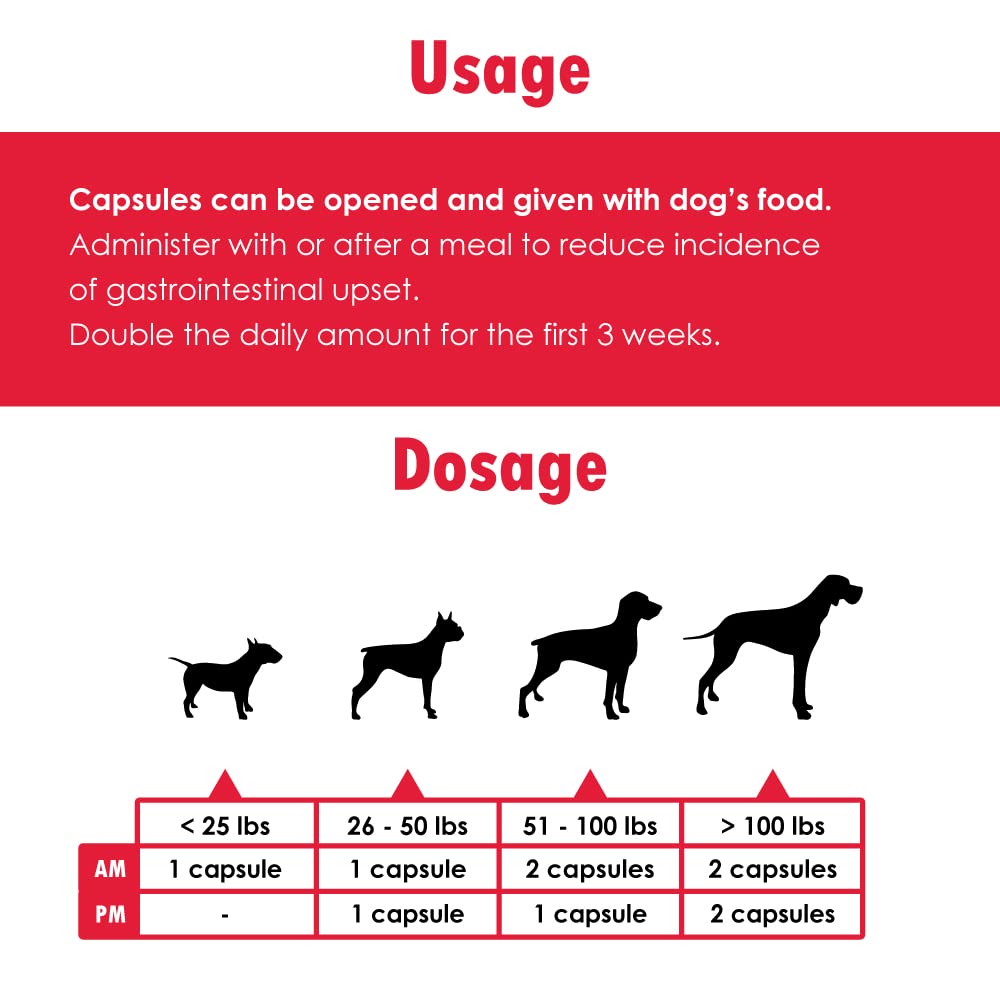 Pet Health Solutions Joint MAX Double Strength (DS) Capsules for Dogs, Glucosamine, Chondroitin, Vitamins and Antioxidants, Hip and Joint Pain Relief and Support Supplement - Made in USA, 120 Tablets