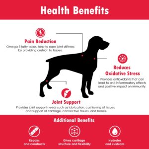 Pet Health Solutions Joint MAX Double Strength (DS) Capsules for Dogs, Glucosamine, Chondroitin, Vitamins and Antioxidants, Hip and Joint Pain Relief and Support Supplement - Made in USA, 120 Tablets