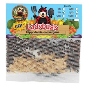 300 Live Ladybugs - Good Bugs - Ladybugs - Guaranteed Live Delivery!