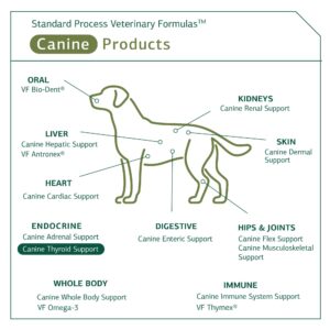 Standard Process - Canine Thyroid Support - Endocrine System Support for Dogs - 100 Grams