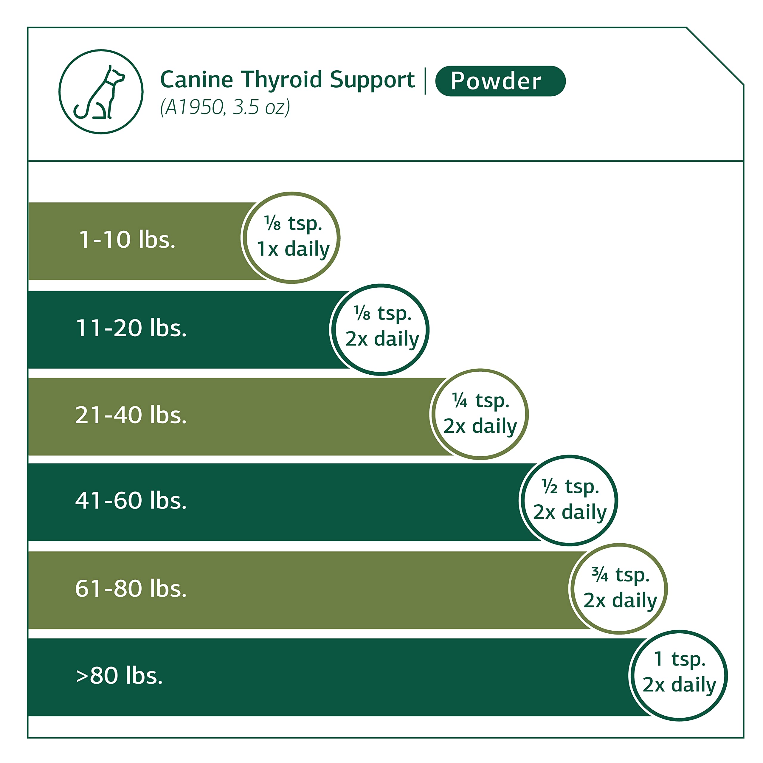 Standard Process - Canine Thyroid Support - Endocrine System Support for Dogs - 100 Grams