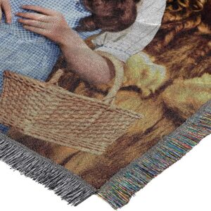 Northwest Warner Brothers Wizard of Oz, 'Group' Woven Tapestry Throw Blanket, 48' x 60', Multi Color