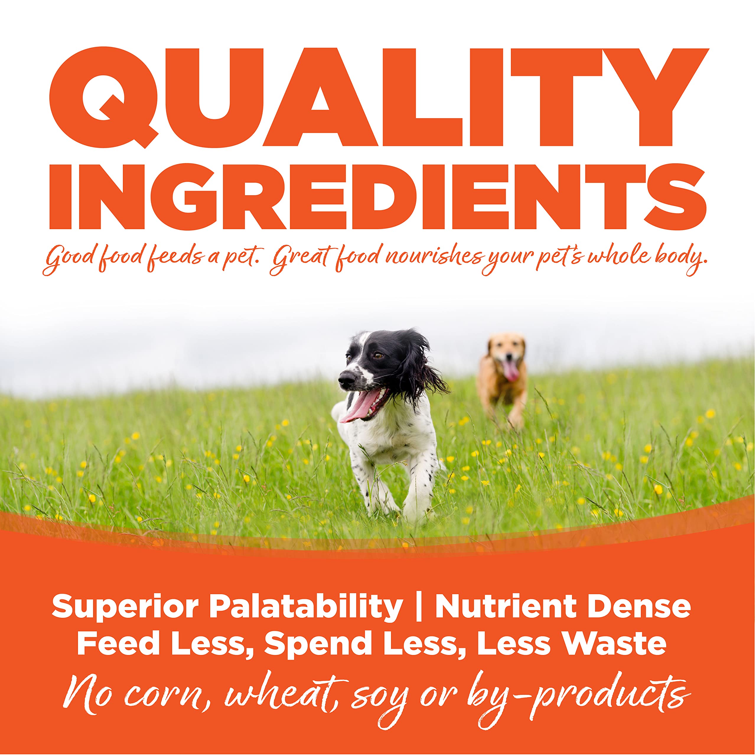 NutriSource Performance Dog Food, Made with Chicken and Rice, with Wholesome Grains, 40LB, Dry Dog Food