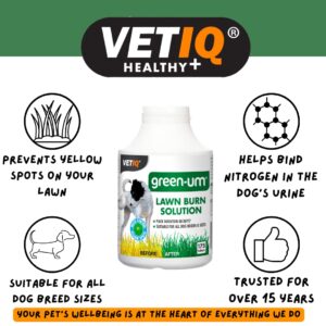 VetIQ Green-Um Dog Urine Neutraliser, 100 Tablets, Urine Neutraliser Lawn Burn Solution, Puppy Essentials Controls Nitrogen in Urine to Prevent Lawn Yellow Spots, Wee Neutraliser for All Breeds/Sizes