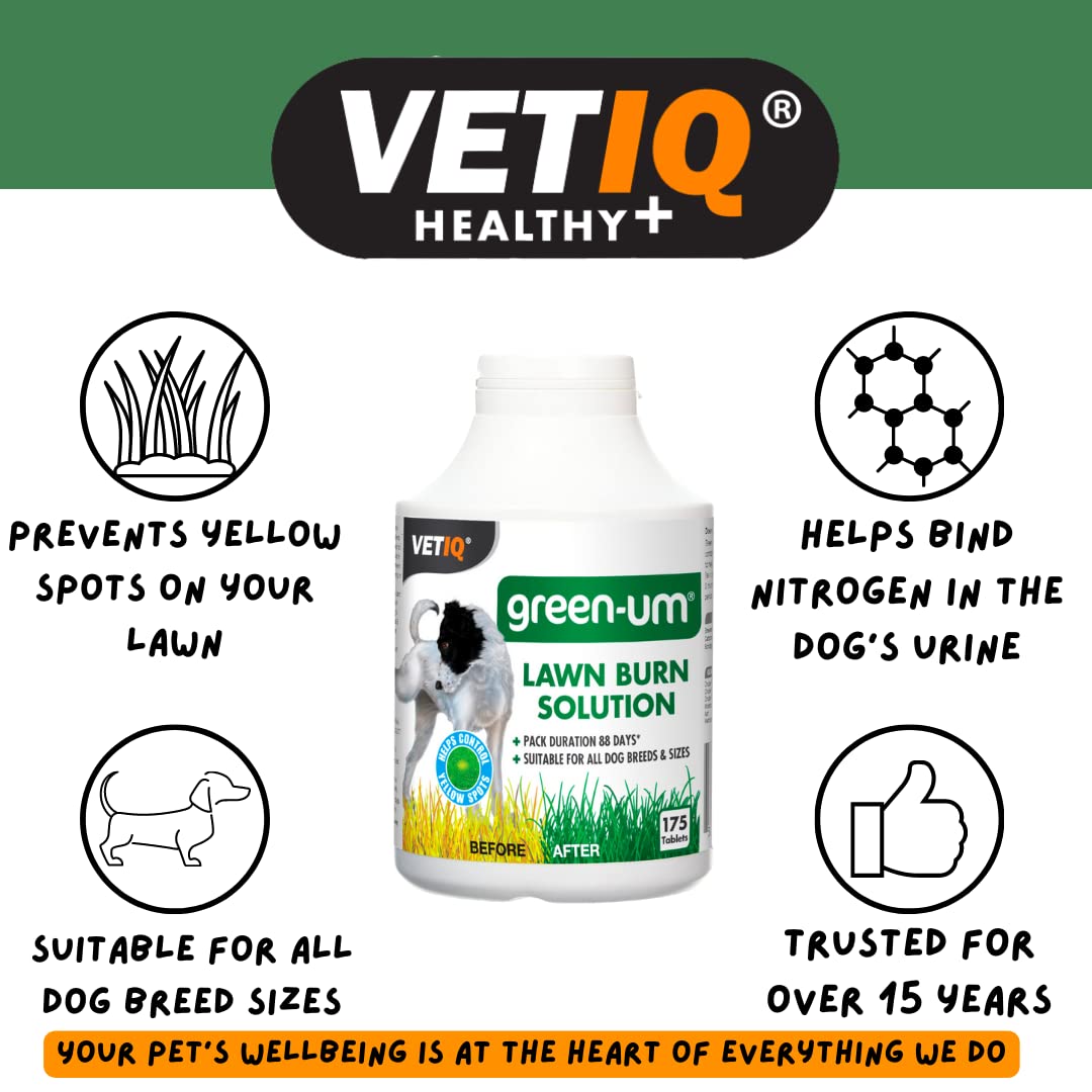 VetIQ Green-Um Dog Urine Neutraliser, 100 Tablets, Urine Neutraliser Lawn Burn Solution, Puppy Essentials Controls Nitrogen in Urine to Prevent Lawn Yellow Spots, Wee Neutraliser for All Breeds/Sizes