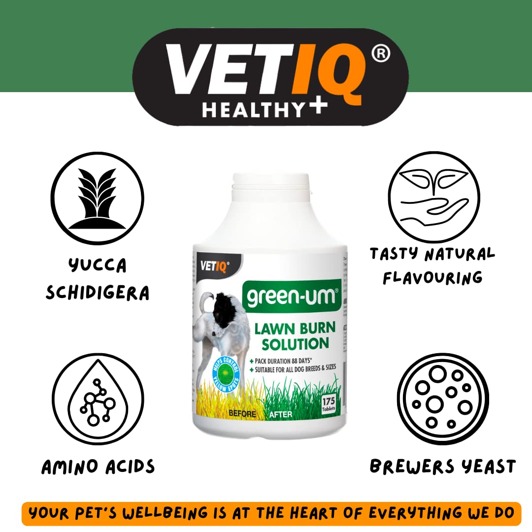 VetIQ Green-Um Dog Urine Neutraliser, 100 Tablets, Urine Neutraliser Lawn Burn Solution, Puppy Essentials Controls Nitrogen in Urine to Prevent Lawn Yellow Spots, Wee Neutraliser for All Breeds/Sizes