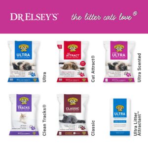 Precious Cat Elsey's Ultra Scented Cat Litter,18 Lb/8.16 Kg (Pack May Vary) Clay