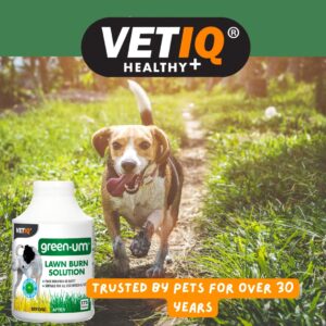 VetIQ Green-Um Dog Urine Neutraliser, 100 Tablets, Urine Neutraliser Lawn Burn Solution, Puppy Essentials Controls Nitrogen in Urine to Prevent Lawn Yellow Spots, Wee Neutraliser for All Breeds/Sizes