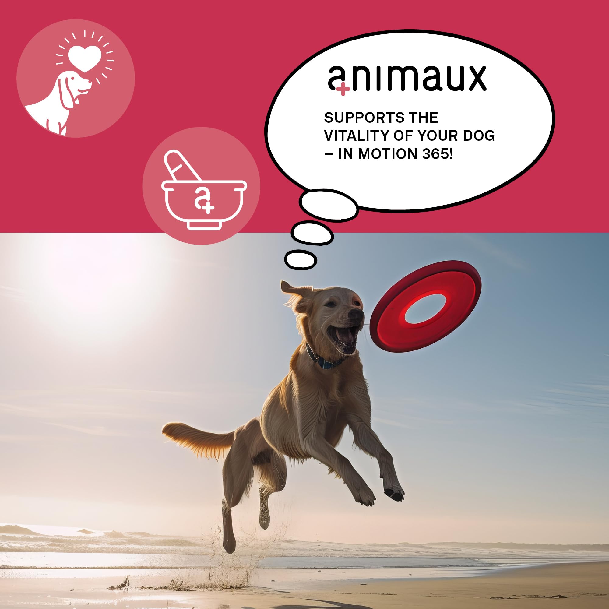 animaux – in Motion 365 for Dogs, Joints, Bones, Mobility, Ligaments and Tendons, Green-Lipped Mussel, Willow Bark and Devil’s Claw, Natural Pain Relief, 60 Chewable Tablets, 60 Days Supply