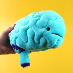 I Heart Guts Brain Plush - All You Need is Lobe - Educational Brain Pillow - 11” Organ Plush, Ideal for Doctors, Nurses, Medical Students, Graduation & Brain Surgery Recovery Gifts