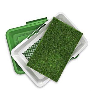 Artificial Grass Pee Pad Set for Dogs (Synthetic Plastic Grass) - Reusable Puppy Essential for Potty Training Small Pets Indoors and Outdoors by PETMAKER (Green)