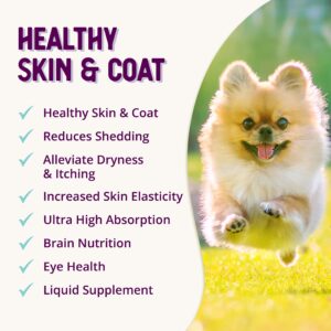 Health Extension Skin & Coat Supplement for Dogs & Puppies, 16oz - Omega 3 & 6 Rich Formula for Healthy Skin & Shiny Coat, Reduces Shedding & Itching