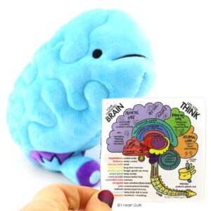 I Heart Guts Brain Plush - All You Need is Lobe - Educational Brain Pillow - 11” Organ Plush, Ideal for Doctors, Nurses, Medical Students, Graduation & Brain Surgery Recovery Gifts