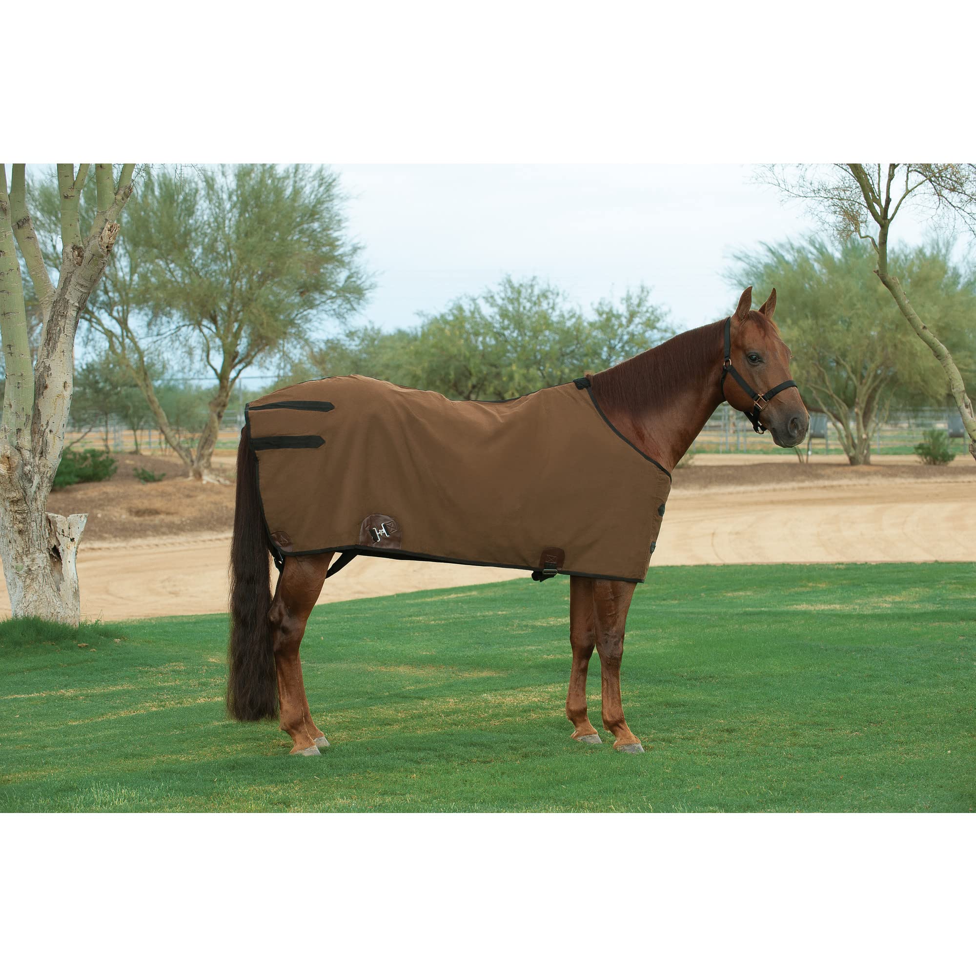 Weaver Leather Basic Canvas Horse Blanket - Weather Resistant- Made from Brown 18 oz. Duck Canvas, 74"