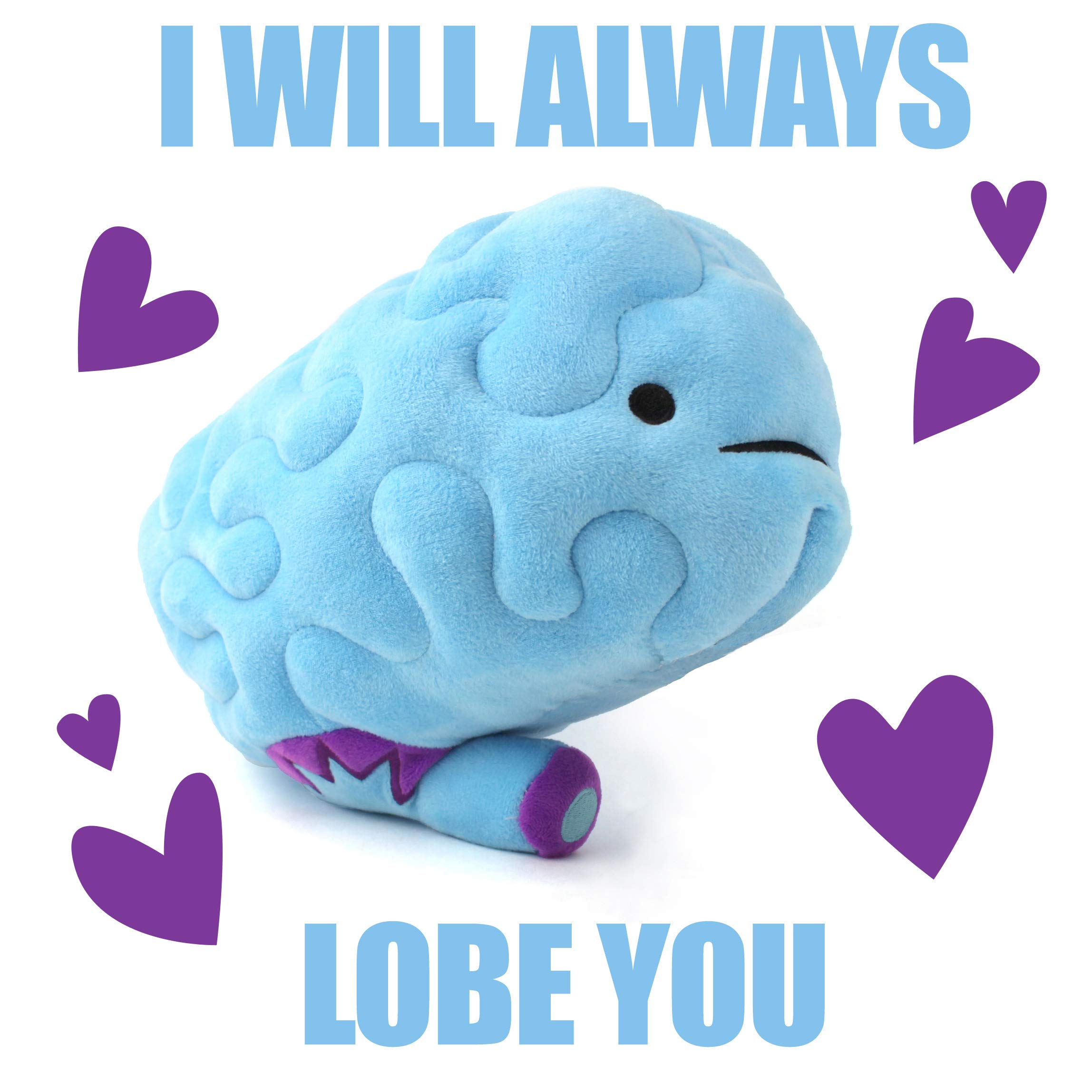 I Heart Guts Brain Plush - All You Need is Lobe - Educational Brain Pillow - 11” Organ Plush, Ideal for Doctors, Nurses, Medical Students, Graduation & Brain Surgery Recovery Gifts