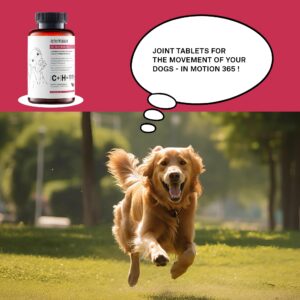 animaux – in Motion 365 for Dogs, Joints, Bones, Mobility, Ligaments and Tendons, Green-Lipped Mussel, Willow Bark and Devil’s Claw, Natural Pain Relief, 60 Chewable Tablets, 60 Days Supply