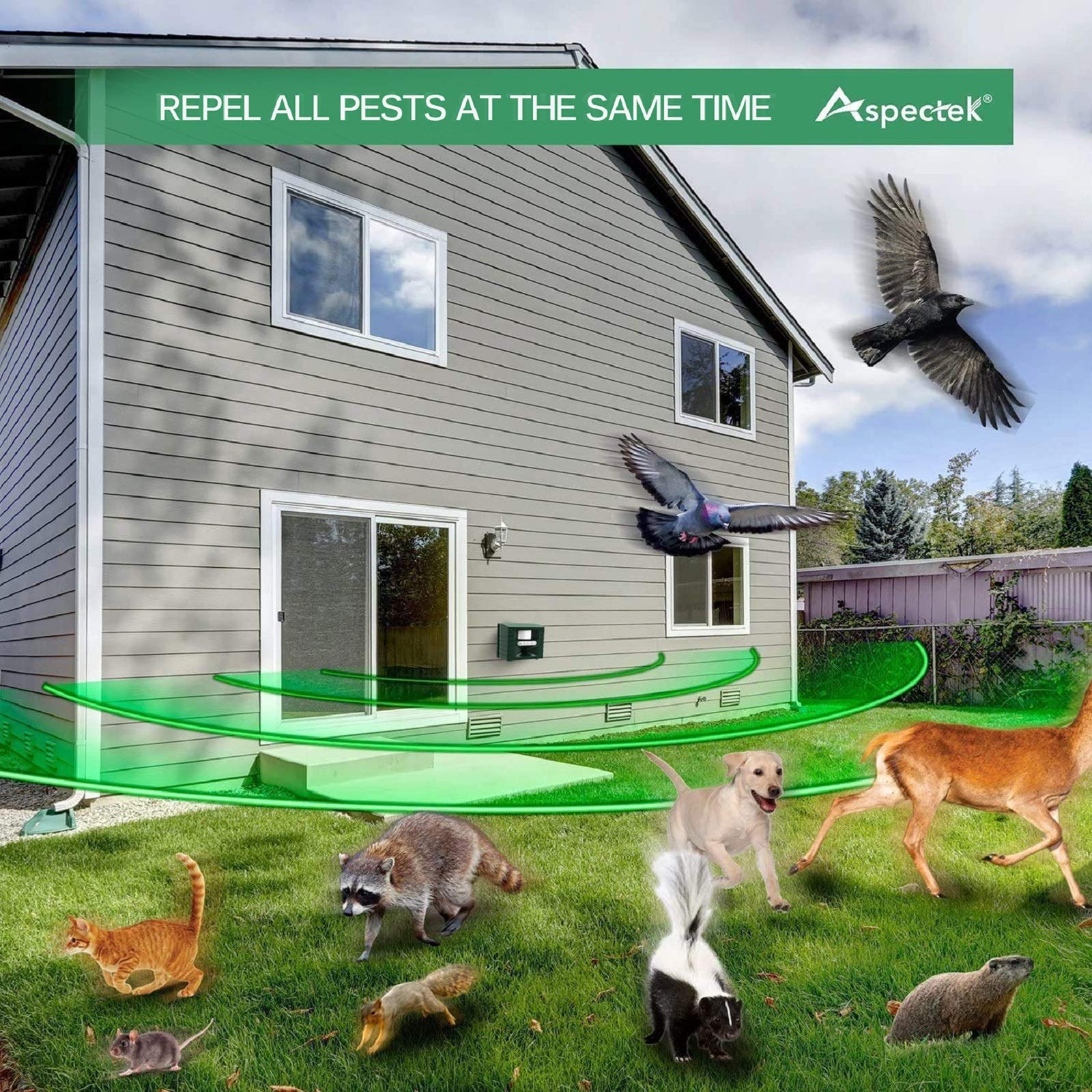 ASPECTEK Yard Sentinel Outdoor Ultrasonic Animal Repeller with Motion Sensor, Adjustable Volume, Waterproof, Extension Cord, Powerful Repel for Squirrel, Raccoon, Skunk, Rabbit, Fox, Deer, Etc