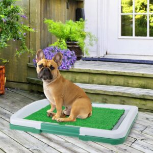 Artificial Grass Pee Pad Set for Dogs (Synthetic Plastic Grass) - Reusable Puppy Essential for Potty Training Small Pets Indoors and Outdoors by PETMAKER (Green)