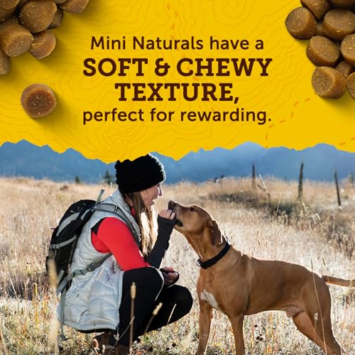 Zuke’s Mini Naturals Soft And Chewy Dog Treats For Training Pouch, Natural Treat Bites With Rabbit Recipe - 16.0 OZ Bag