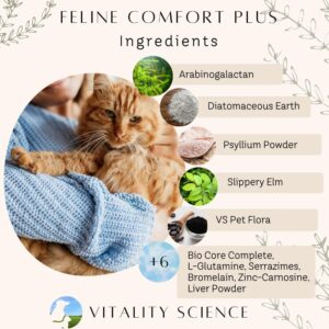 Vitality Science - Feline Comfort Plus, Extra Drying Digestive Aid, GI Support Helps with Vomiting and Diarrhea, 100% Additive Free, 120g (Seafood, Small)