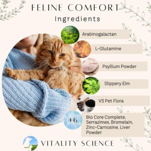 Vitality Science Feline Comfort for Cats | Maintains a Healthy Intestinal Tract and Proper Gut Flora | Restores Gastric Stability | for Vomiting and Diarrhea | 100% Additive Free (Seafood, 220g)