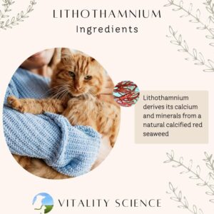 Vitality Science Natural Red Seaweed Lithothamnium Calcium Supplements for Cats and Dogs | Easy Absorption | Promotes Healthy Bones and Joints | Diarrhea Relief