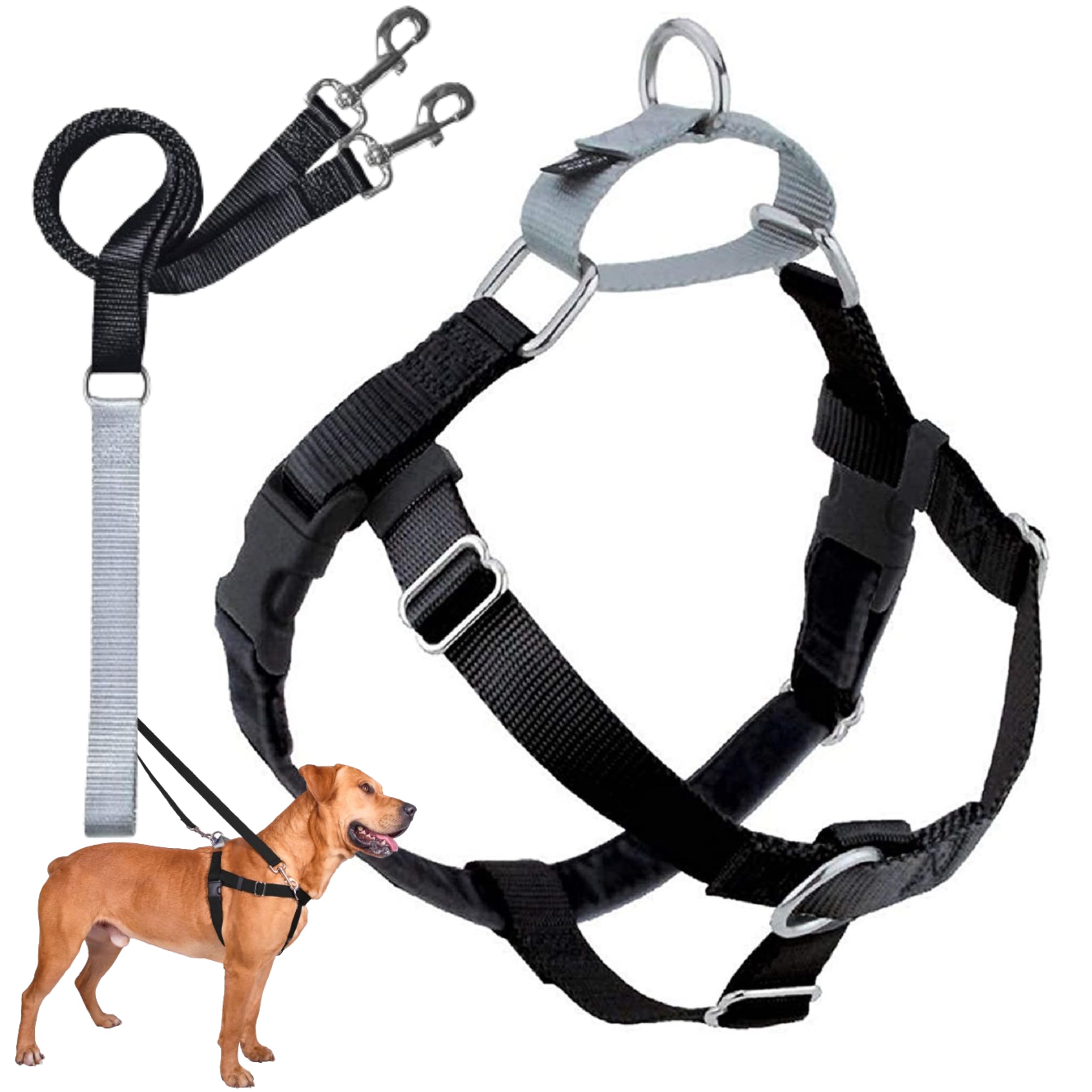 2 Hounds Design Freedom No Pull Dog Harness | Comfortable Control for Easy Walking |Adjustable Dog Harness and Leash Set | Small, Medium & Large Dogs | Made in USA | Solid Colors | 1" LG Black