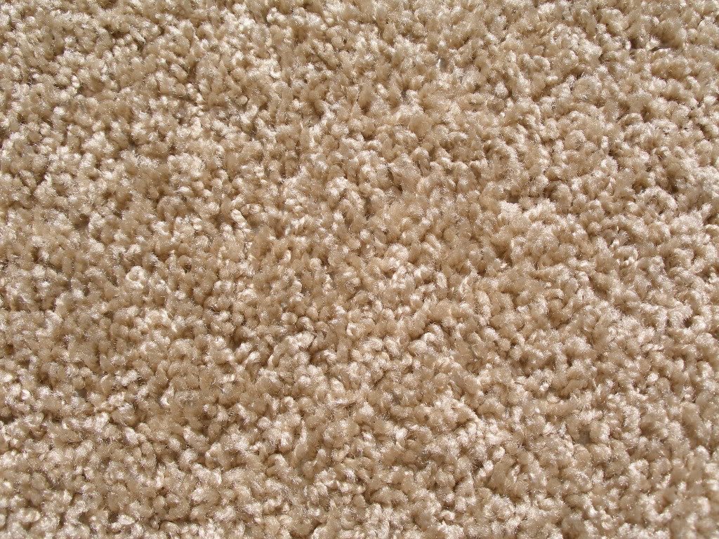 KOECKRITZ 9’x12’ Beige Area Rug. Frieze Plush Textured Carpet for Residential or Commercial use. Approximately 1/2" Thick with Binding.