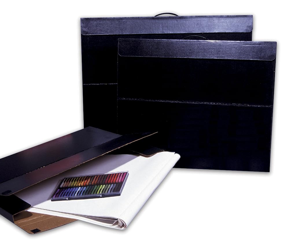 Flipside 1398169 Art Portfolio Storage Case, Corrugated, 20 x 26 Inches, Black