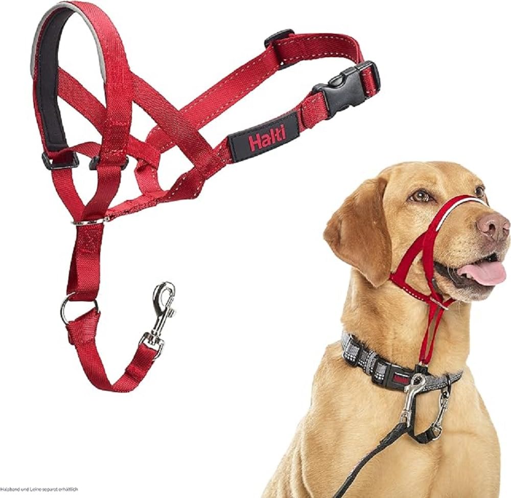 HALTI Headcollar - To Stop Your Dog Pulling on the Leash. Adjustable, Reflective and Lightweight, with Padded Nose Band. Dog Training Anti-Pull Collar for Medium Dogs (Size 3, Red)