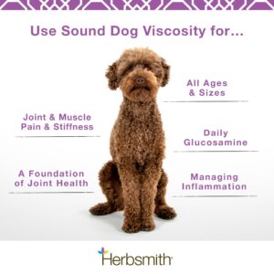 Herbsmith Sound Dog Viscosity – Advanced Joint Support for Dogs – Veterinarian Recommended Glucosamine for Dogs, Hyaluronic Acid, Chondroitin, MSM – Natural Arthritis Pain Relief – 60ct Large Chews