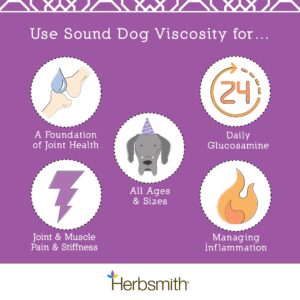 Herbsmith Sound Dog Viscosity – Advanced Joint Support for Dogs – Veterinarian Recommended Glucosamine for Dogs, Hyaluronic Acid, Chondroitin, MSM – Natural Arthritis Pain Relief – 60ct Large Chews