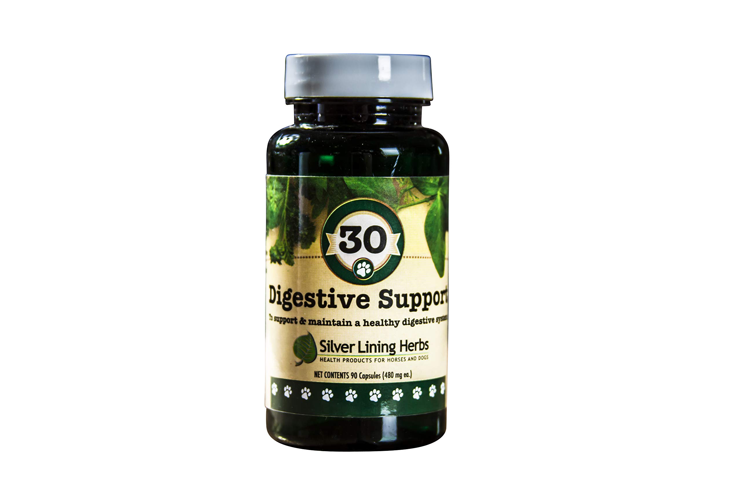 Silver Lining Herbs 30 Canine Digestive Support - Herbal Canine Supplement to Maintain Normal Digestive Function - Dog Supplement May Help with Bloating & Intestinal Tract Health - 90 Capsules