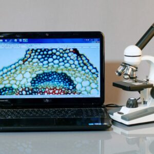 AmScope M150-E Digital Compound Monocular Microscope, WF10x Eyepiece, 40x-400x Magnification, LED Illumination, Brightfield, Single-Lens Condenser, Coarse and Fine Focus, Plain Stage, 110V, Includes 0.3MP Camera and Software