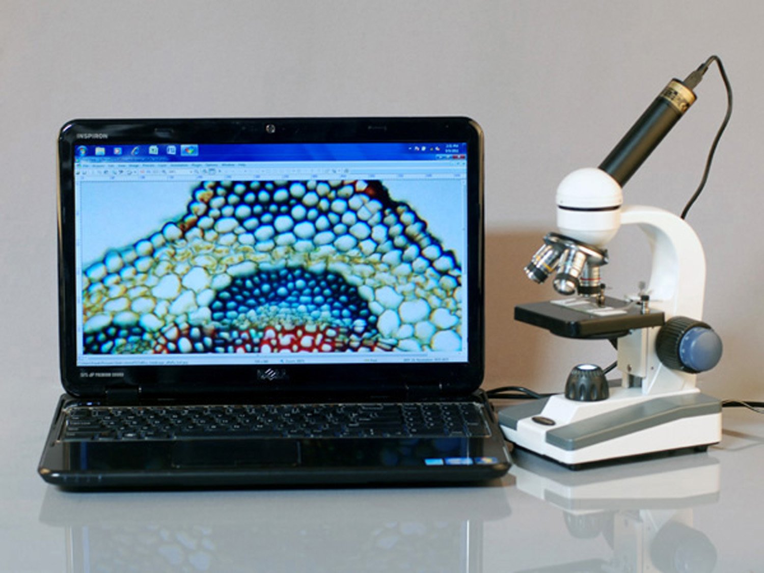 AmScope M150-E Digital Compound Monocular Microscope, WF10x Eyepiece, 40x-400x Magnification, LED Illumination, Brightfield, Single-Lens Condenser, Coarse and Fine Focus, Plain Stage, 110V, Includes 0.3MP Camera and Software